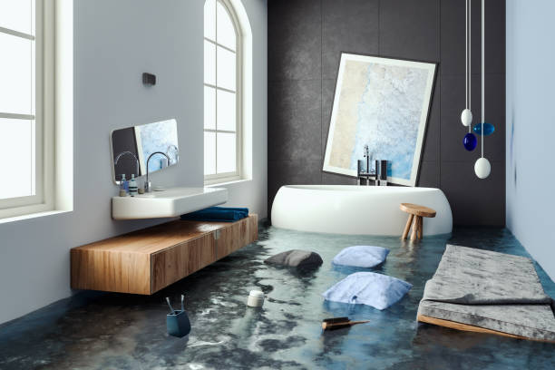 Best Professional water damage repair  in Sidney, OH