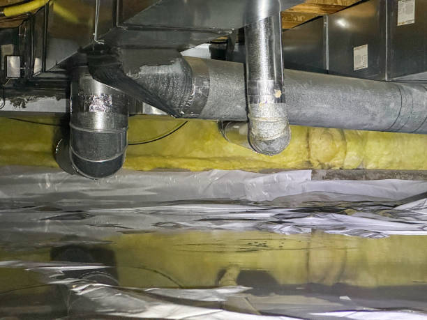 Best Water damage restoration specialists  in Sidney, OH