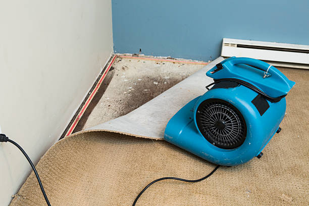 Fire Damage Restoration in Sidney, OH